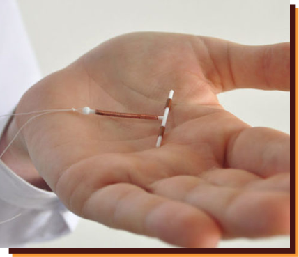 a medical practitioner holding a t section on his palm